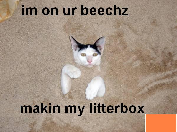 Name:  beach.jpg
Views: 556
Size:  54.5 KB
