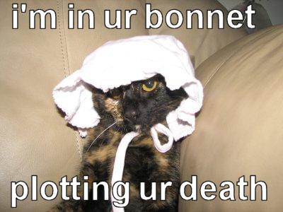 Name:  bonnet.JPG
Views: 349
Size:  23.0 KB