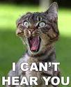 Name:  Cat.jpg
Views: 478
Size:  3.9 KB