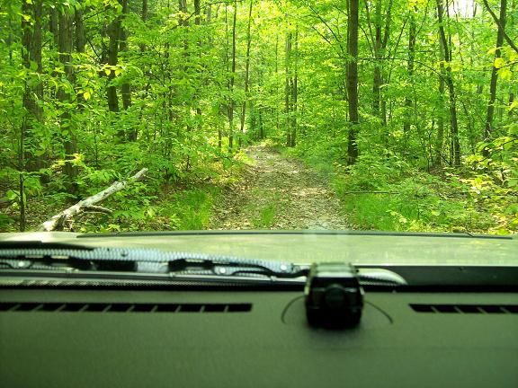 Name:  trail07.JPG
Views: 457
Size:  81.1 KB