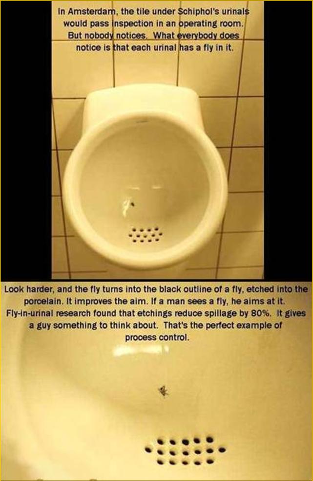 Name:  toilet 6.jpg
Views: 271
Size:  62.9 KB