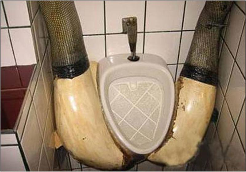 Name:  toilet 5.jpg
Views: 272
Size:  53.9 KB