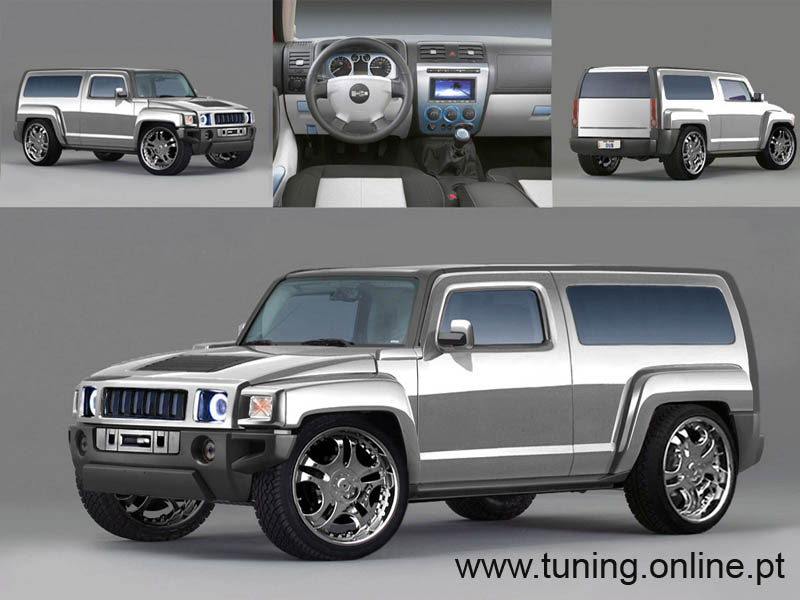 Name:  hummer8.jpg
Views: 543
Size:  66.4 KB