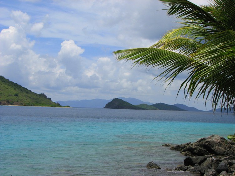 Name:  St. Thomas Coral World.jpg
Views: 298
Size:  99.0 KB