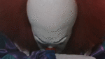 Name:  35lcfti.gif
Views: 328
Size:  200.3 KB