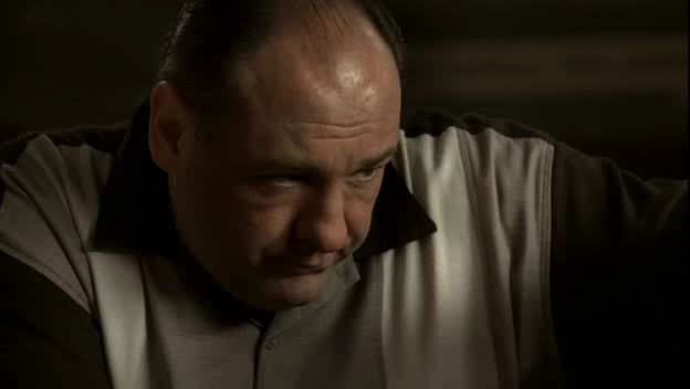 Name:  sopranos[84296].jpg
Views: 262
Size:  13.9 KB