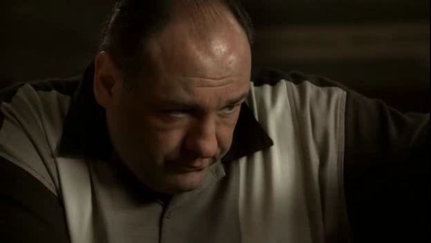 Name:  sopranos[84297].jpg
Views: 253
Size:  14.7 KB