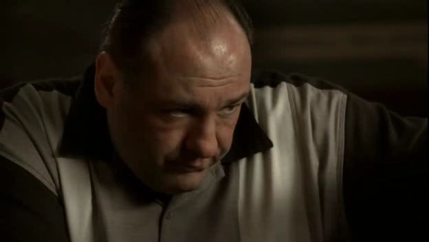 Name:  sopranos[84301].jpg
Views: 256
Size:  15.4 KB