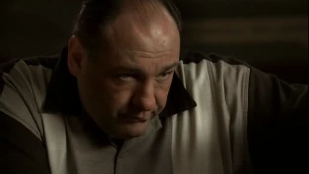 Name:  sopranos[84303].jpg
Views: 219
Size:  15.2 KB