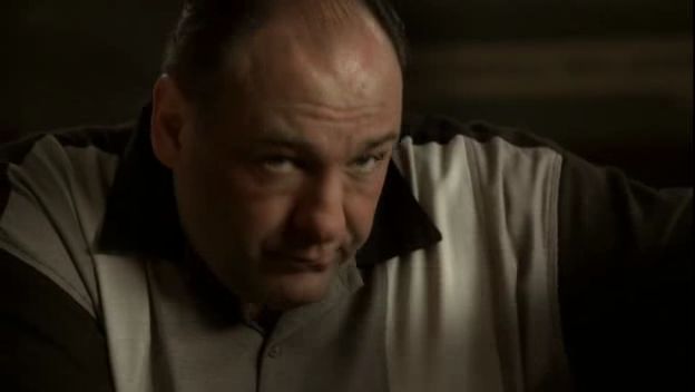 Name:  sopranos[84304].jpg
Views: 222
Size:  15.1 KB