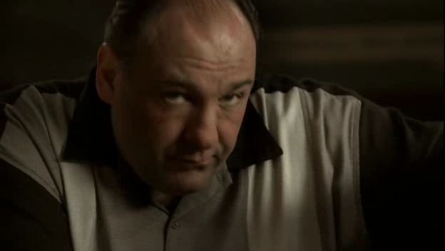 Name:  sopranos[84305].jpg
Views: 217
Size:  14.6 KB