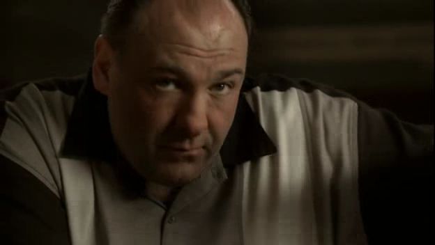 Name:  sopranos[84307].jpg
Views: 238
Size:  15.2 KB