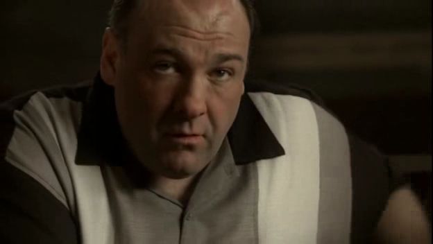 Name:  sopranos[84317].jpg
Views: 231
Size:  15.8 KB