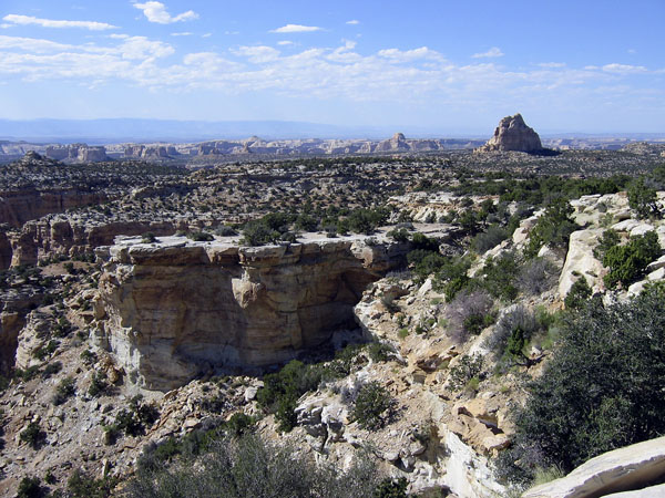 Name:  IMG_9636.jpg
Views: 404
Size:  134.4 KB