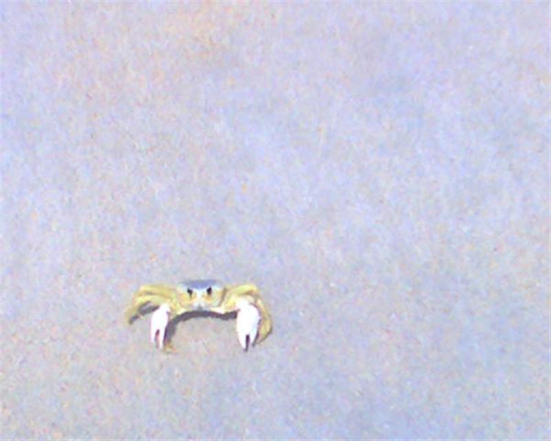 Name:  img104 (Medium).jpg
Views: 178
Size:  41.0 KB