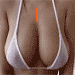 Name:  526900291lul0pv8.gif
Views: 334
Size:  18.2 KB