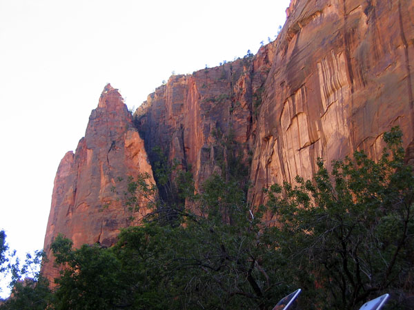 Name:  IMG_9815.jpg
Views: 379
Size:  94.9 KB
