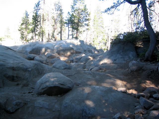 Name:  Slickrock0607_20 (Small).jpg
Views: 719
Size:  65.5 KB