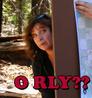 Name:  orly.jpg
Views: 903
Size:  71.6 KB