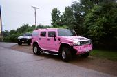 Name:  pink.jpg
Views: 596
Size:  4.8 KB