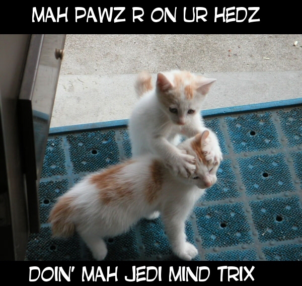 Name:  033dc91a.jpg
Views: 409
Size:  210.4 KB