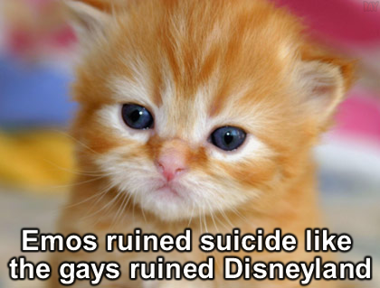 Name:  kittenbca.jpg
Views: 385
Size:  83.6 KB