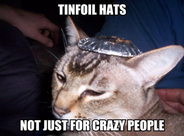 Name:  LolCatRenderer-19.jpg
Views: 393
Size:  43.0 KB