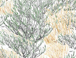 Name:  WTP-247.gif
Views: 402
Size:  71.8 KB