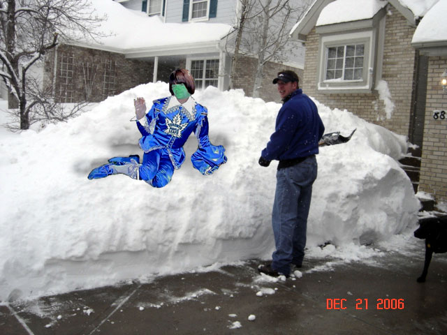 Name:  CO_Leafsfan_snowperch.jpg
Views: 325
Size:  74.0 KB