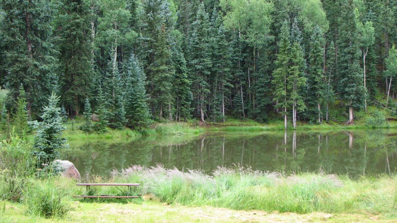 Name:  Picnic Table & Pond.jpg
Views: 336
Size:  144.0 KB