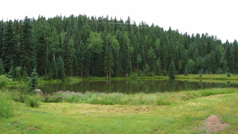 Name:  Pond after Clearing.jpg
Views: 337
Size:  100.8 KB