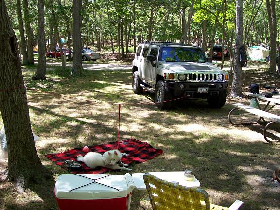 Name:  campsitepb.JPG
Views: 309
Size:  92.4 KB
