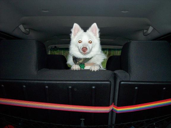 Name:  boocargo.JPG
Views: 404
Size:  32.8 KB