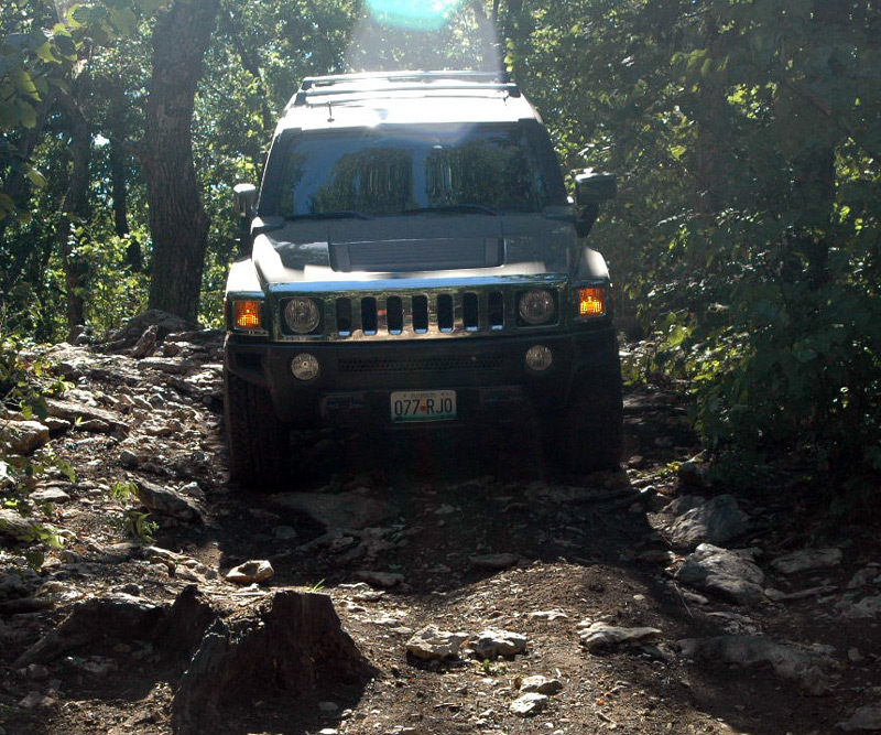 Name:  BigBill-heading-down.jpg
Views: 518
Size:  234.3 KB