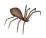 Name:  spider204.gif
Views: 761
Size:  9.7 KB