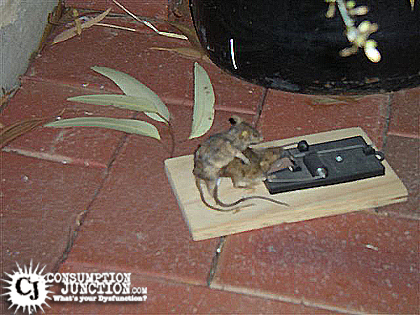 Name:  cj_42532.jpg
Views: 416
Size:  197.9 KB