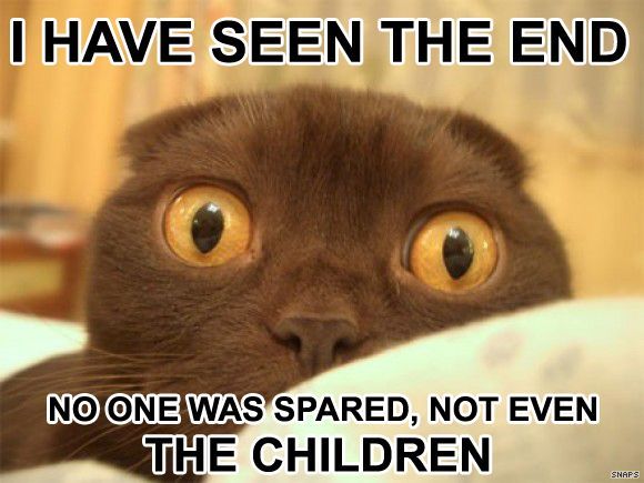 Name:  spared.jpg
Views: 362
Size:  45.6 KB