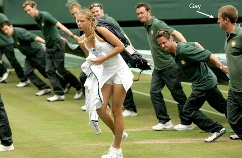 Name:  spotthegayjpg (Medium).jpg
Views: 367
Size:  60.9 KB