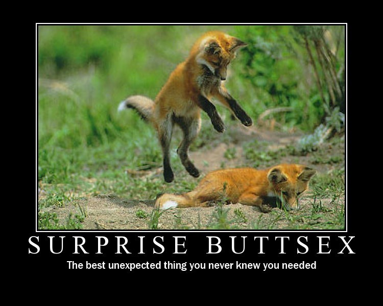 Name:  surprisebuttsex.jpg
Views: 326
Size:  92.2 KB