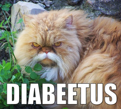 Name:  diabeetus.jpg
Views: 499
Size:  68.4 KB