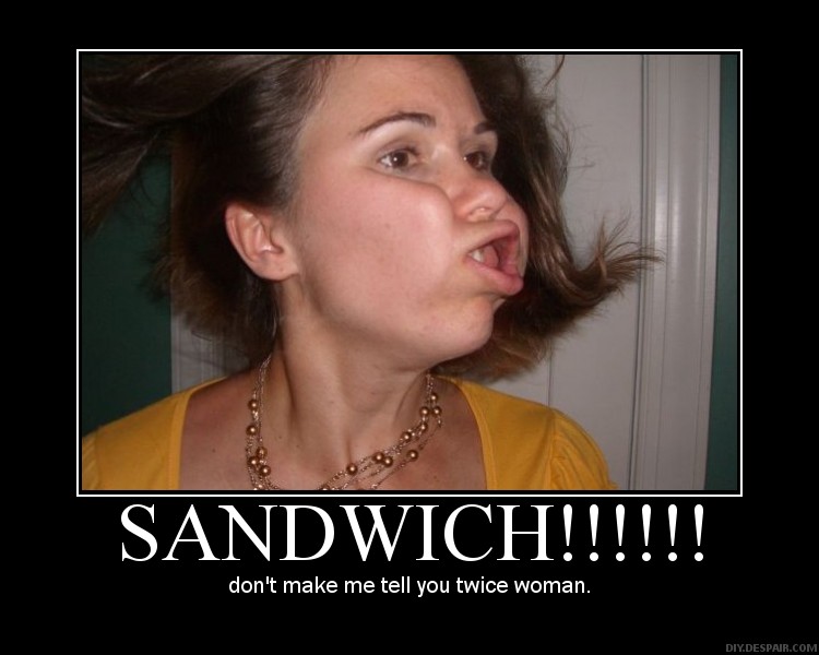 Name:  sandwich.jpg
Views: 3534
Size:  67.1 KB