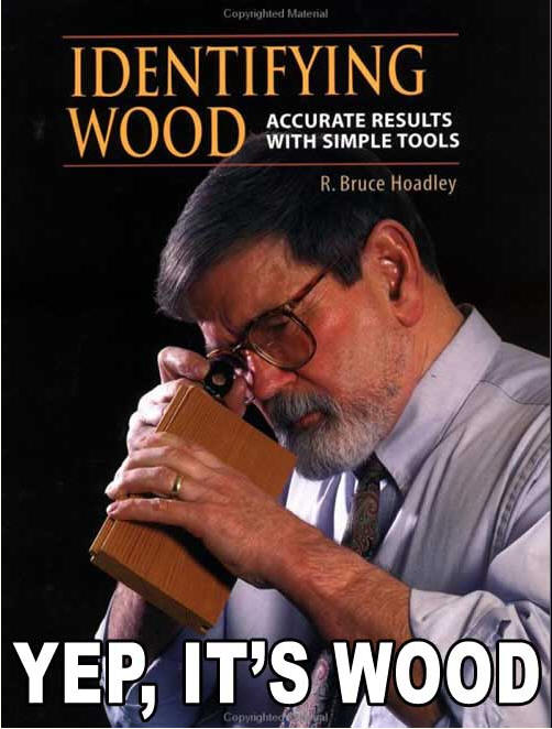 Name:  woodbm2.jpg
Views: 722
Size:  59.1 KB