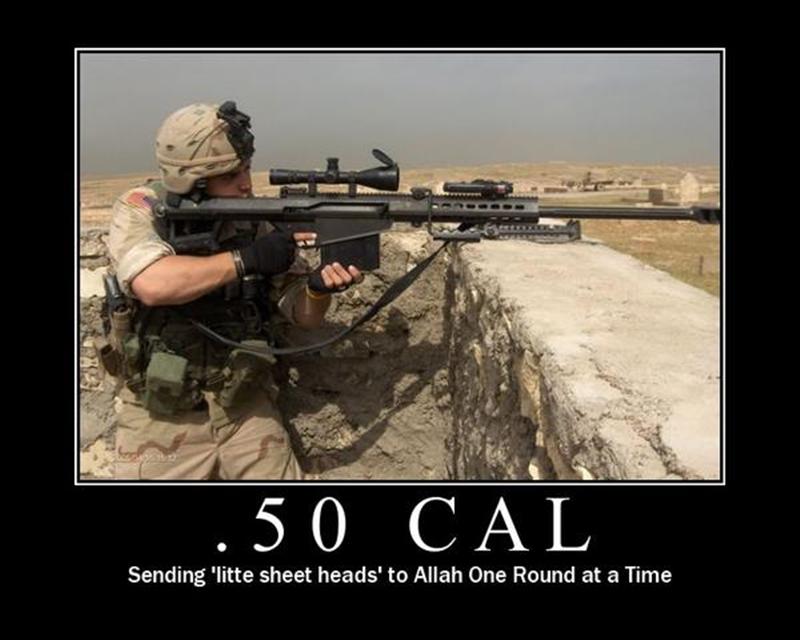 Name:  .50 cal (Medium).jpg
Views: 1607
Size:  53.7 KB