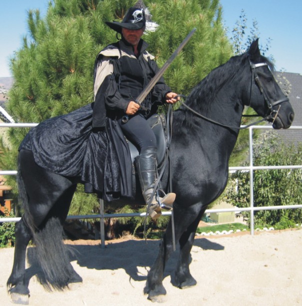 Name:  knight1_328.jpg
Views: 173
Size:  107.1 KB