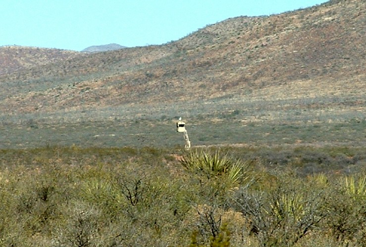 Name:  watchtower.jpg
Views: 281
Size:  125.1 KB