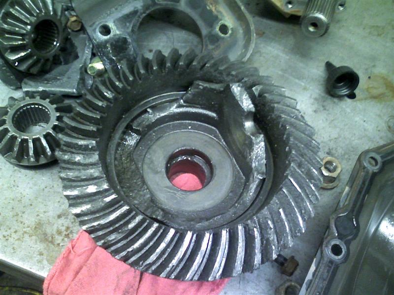 Name:  PIC-0057 (Medium).jpg
Views: 1205
Size:  82.9 KB