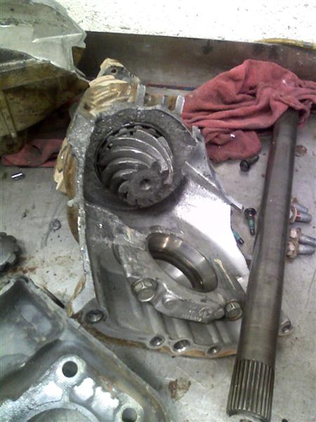 Name:  PIC-0058 (Medium).jpg
Views: 1134
Size:  43.4 KB