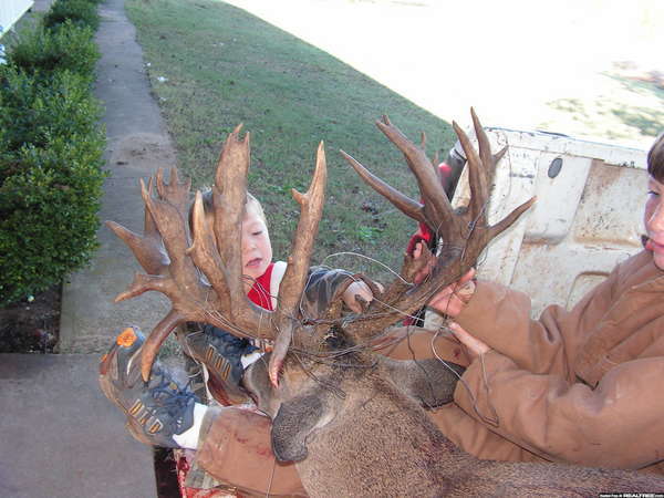 Name:  41ptOklahomabuck004.jpg
Views: 871
Size:  94.2 KB