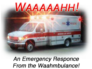 Name:  wahmbulance2.jpg
Views: 953
Size:  69.7 KB