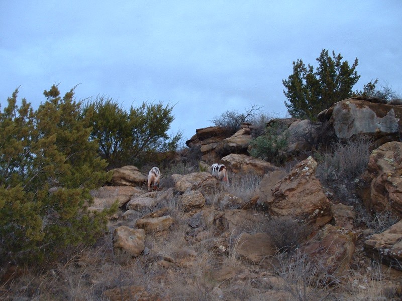 Name:  DSCF0030.jpg
Views: 322
Size:  147.0 KB